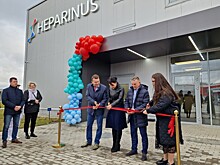 «Мираторг» и «Ван Хэссен» совместно займутся переработкой свиной мукозы