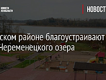 В Лужском районе благоустраивают пляж Череменецкого озера