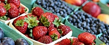 Чем опасна дегустация ягод и других немытых продуктов на рынке