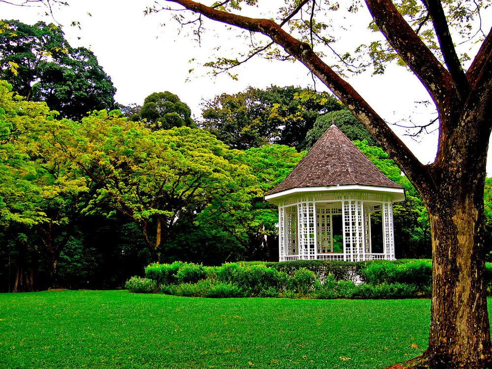 Ботанический сад, Сингапур, Сингапур