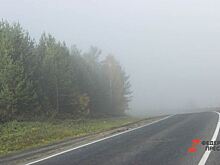 Курган накрыл густой туман