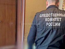 Адвокат Арановский: подозреваемой в убийстве отца школьнице грозит до 10 лет колонии