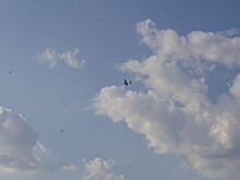 URA.RU: Дандыкин заявил о попытках ударных БПЛА ВСУ выявить слабые места ПВО ВС РФ