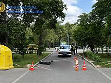 Суд отправил в СИЗО мужчину, сбившего насмерть пенсионерку в Москве