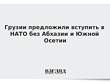Расмуссен посоветовал Грузии вступать в НАТО "без Абхазии и Южной Осетии"