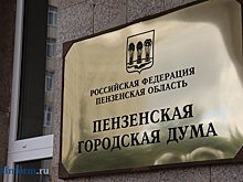 Депутатам не прибавили денег на исполнение наказов пензенцев
