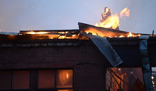 Женщина выкинула в окно шестерых детей во время пожара
