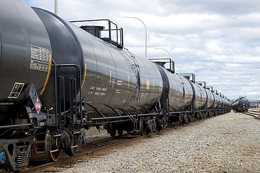 Эксперт из Индии раскрыл "РГ", что ждет страну при снижении закупок нефти из РФ