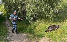 В Вологодской области полицейский-кинолог помог отыскать ушедшего в лес 91-летнего пенсионера