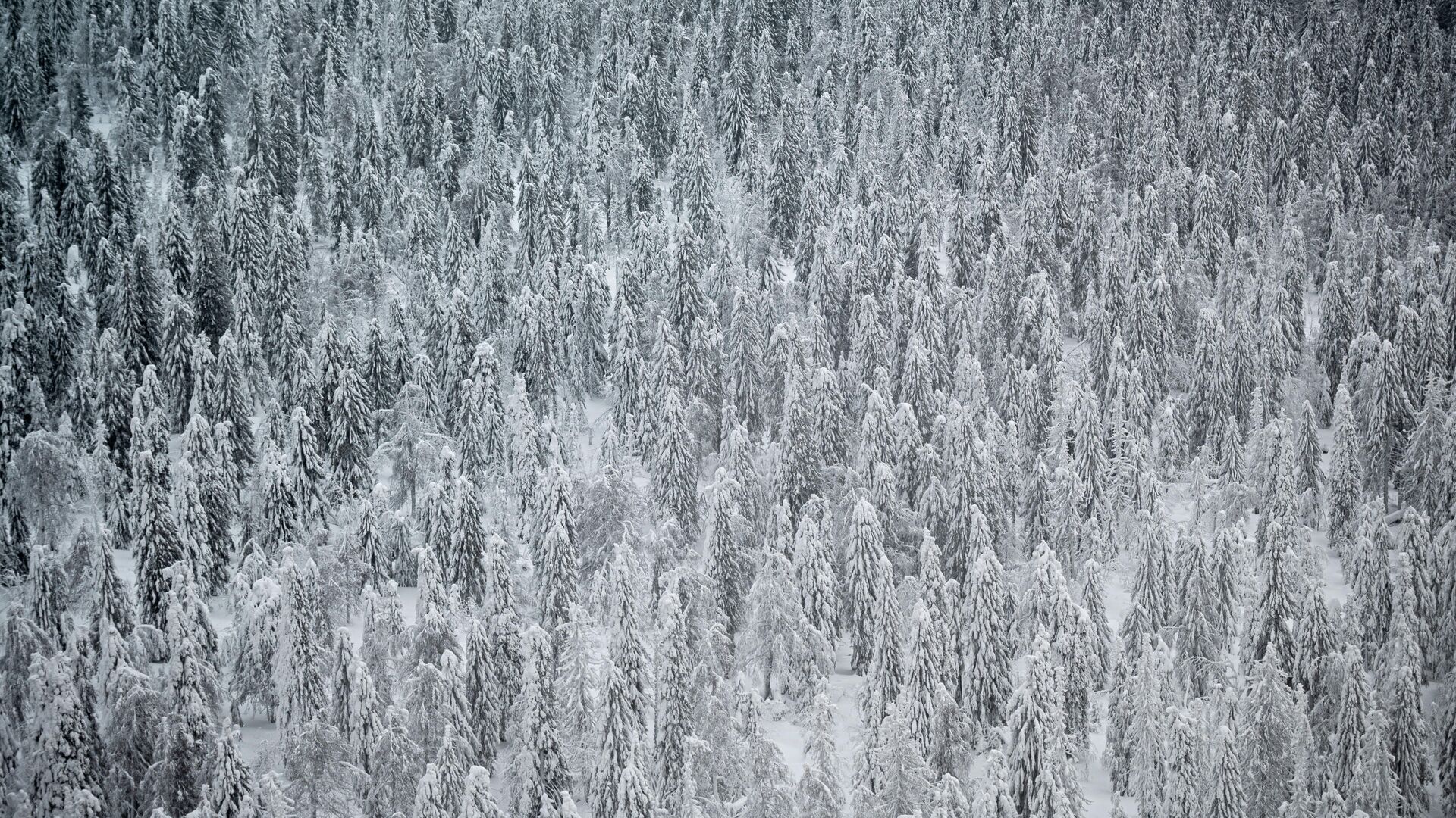 ���-�����������&nbsp; ��������� ������ � ������������ �����