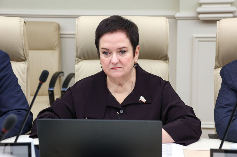 Сенатор Мельник: В России создается многоуровневая система регулирования IT‑отрасли
