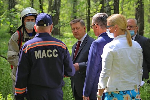 В Новосибирске защитят леса минерализованными полосами
