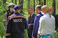 В Новосибирске защитят леса минерализованными полосами