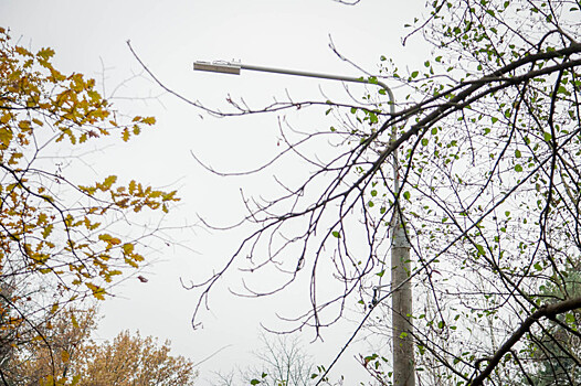 Более 100 уличных фонарей установят в бывшем военном городке Балашихи в октябре