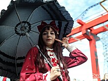 Аниме-франшиза &laquo;Жемчуг дракона&raquo; принесла Toei Animation огромную прибыль