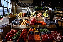 Калужские власти надеются на снижение цен на овощи местных производителей