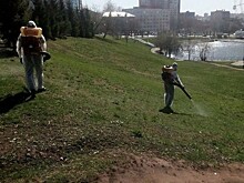 В Кирове проходит второй этап обработки общественных территорий от клещей