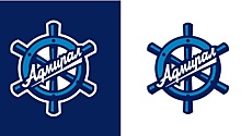 Хоккейный "Адмирал" презентовал обновленный клубный логотип