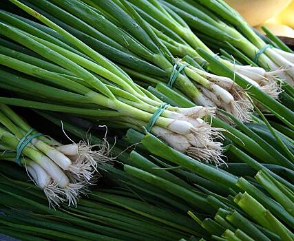 Названы полезные для нервной системы рецепты блюд из зеленого лука