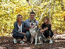 Жители Владивостока с удовольствием помогают бездомным животным