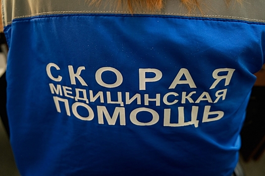 Под Волгоградом в ДТП с грузовиком пострадали два человека