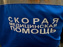 Под Волгоградом в ДТП с грузовиком пострадали два человека