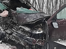 Три трупа: обстоятельства смертельного ДТП на трассе К-19 выясняют следователи