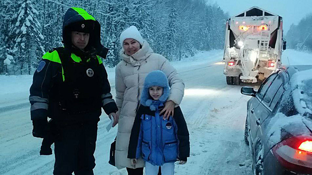 В Костромской области полицейские оказали помощь автоледи с ребёнком, оказавшимся в снежном плену