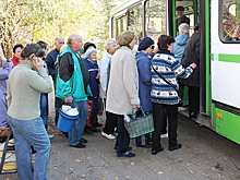 Муниципалитетам разрешили запустить садовые маршруты с 1 мая