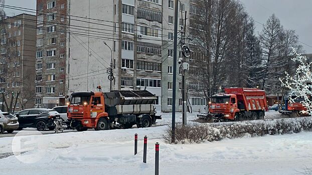 В Ижевске не планируется создание дополнительного снегоприёмного пункта