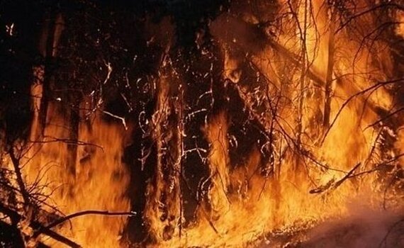 В Татарстане с начала года зарегистрировали более 3,5 тысячи пожаров