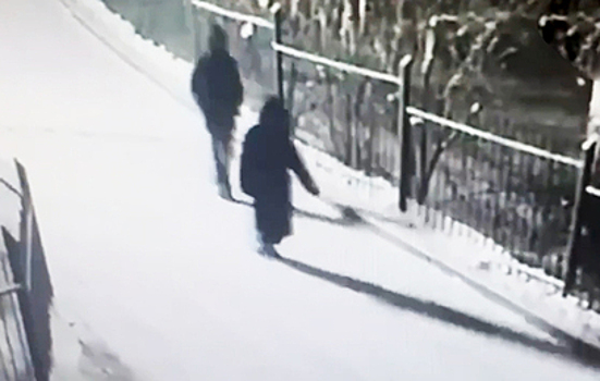 Нашлась школьница, пропавшая в один день с сыном красноярского бизнесмена