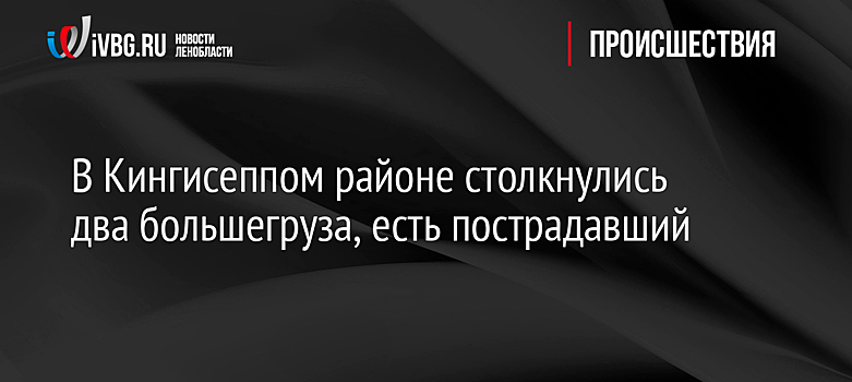 В Кингисеппом районе столкнулись два большегруза, есть пострадавший