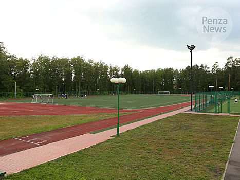 В Заречном на стадионе ФОКа «Лесной» модернизируют освещение