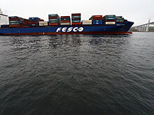 Инспекция по труду подтвердила отсутствие у Fesco долгов перед сотрудниками