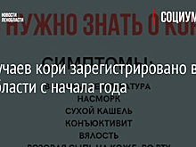 75 случаев кори зарегистрировано в Ленобласти с начала года