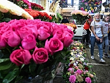 Чем обернется для России «политический» запрет на поставки цветов из Армении