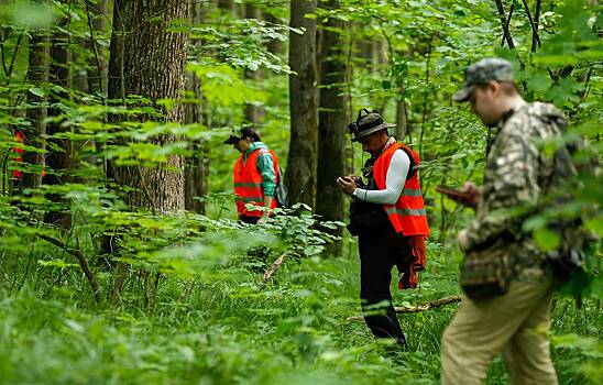 «Пить охота и тортик»: найдена пропавшая в лесу девочка