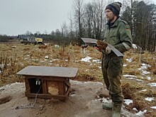 По факту нападения хозяина питомника хаски на зоозащитницу в деревне Гущино возбуждено уголовное дело