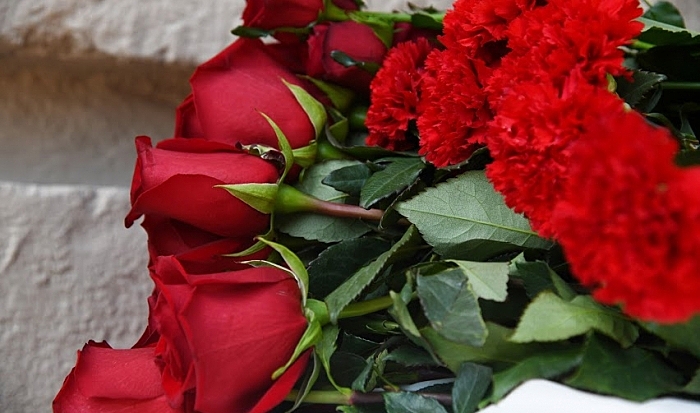 В Волгограде на 82году жизни умерла эколог Валерия