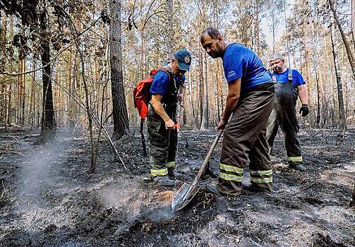 Названы регионы России с наиболее сложной ситуацией с лесными пожарами