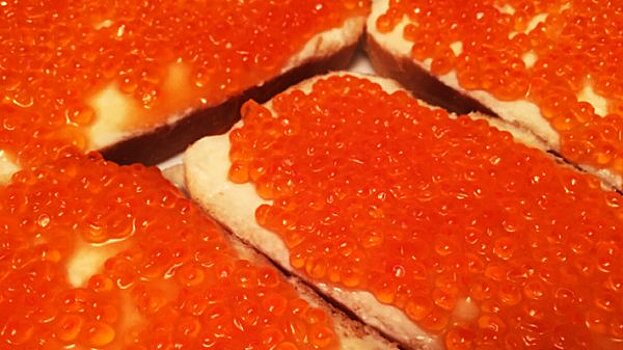 В Петербурге неизвестные забросали автомобили красной икрой