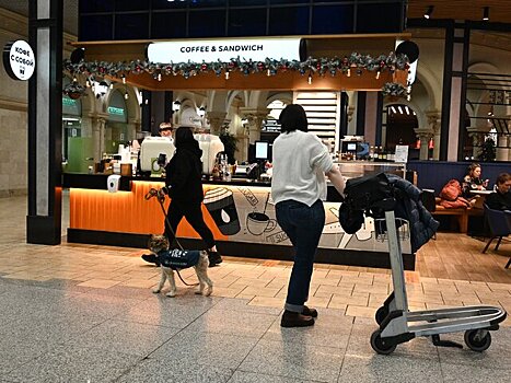 В России хотят ограничить цены на продукты в аэропортах и на вокзалах