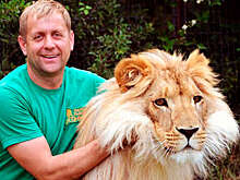 Ветеринар объяснил отказ усыплять льва после нападения на владельца «Тайгана» в Крыму