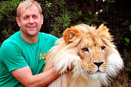 Более двух лет колонии получил директор зоопарка в Крыму, где тигр откусил младенцу палец