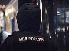 Стали известны самые популярные схемы мошенничества в январе