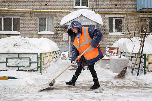 Лучших дворников выбрали в Нижнем Новгороде
