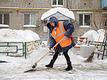 Лучших дворников выбрали в Нижнем Новгороде