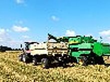 В УФСИН России по Тамбовской области идет уборочная кампания зерновых культур