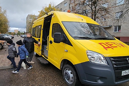 В России могут ужесточить правила перевозки детей